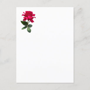 Red rose postcard