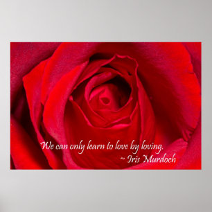 Red Rose Poster