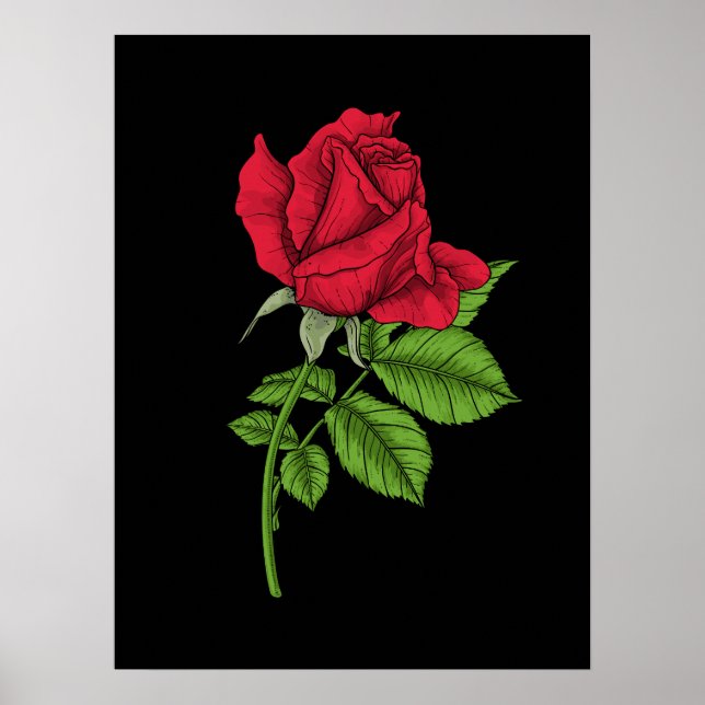 Red rose poster (Front)