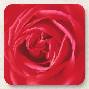 Red rose print coaster