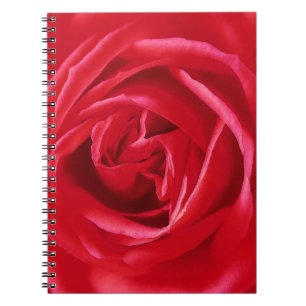 Red rose print spiral notebook