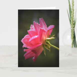 Red Rose & Raindrops card