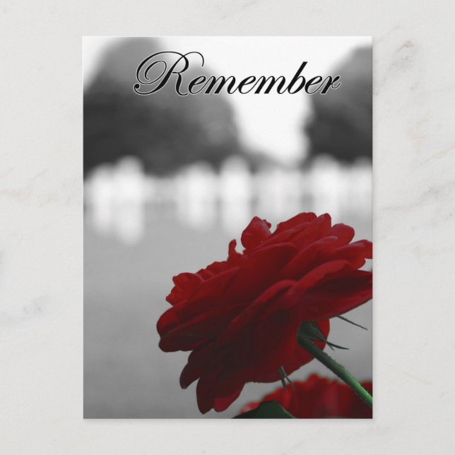 Red Rose Remember Memorial Day Postcard (Front)