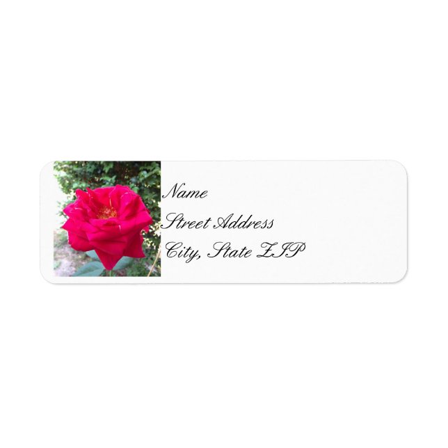 Red Rose Return Address Lables (Front)