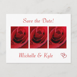 Red Rose Save the Date Postcard