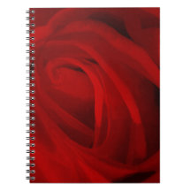 Red Rose