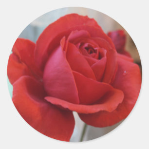 Red Rose Sticker