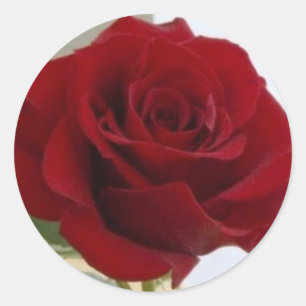 Red Rose Sticker