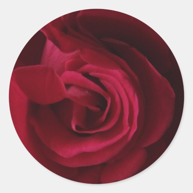 Red Rose Sticker (Front)