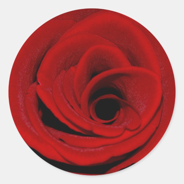Red Rose Sticker (Front)