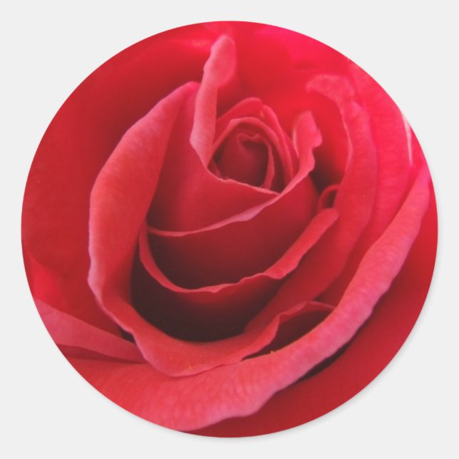 Red Rose Stickers (Front)