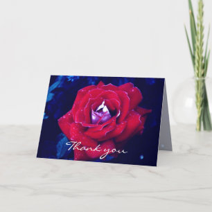 Red Rose - Thank You Card