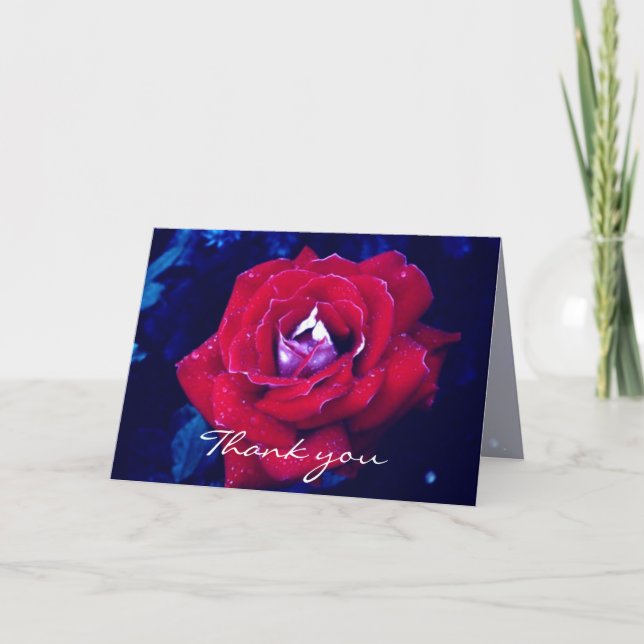 Red Rose - Thank You Card (Front)