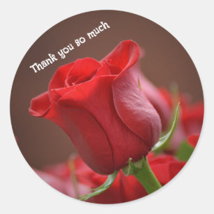 Red rose thank you sticker