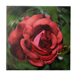 Red Rose Through Glass Floral Art Tile
