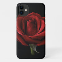 Red rose throw pillow