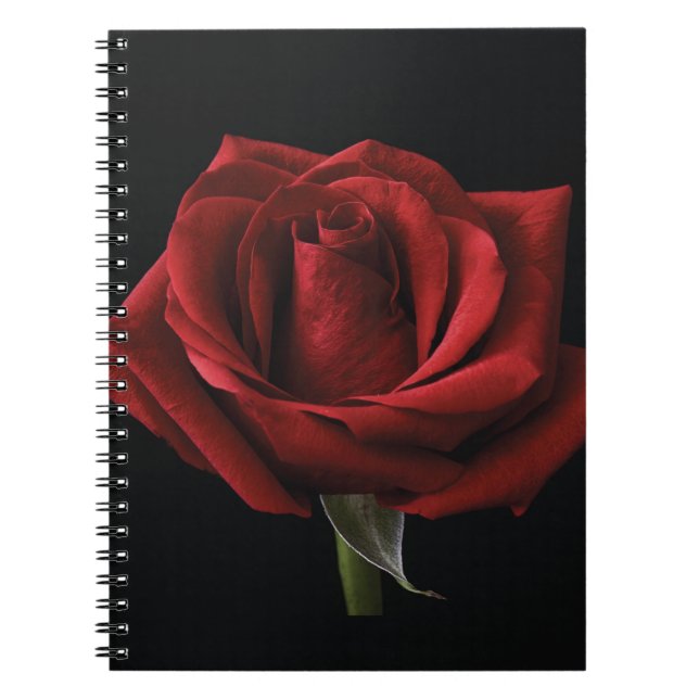 Red rose throw pillow notebook (Front)