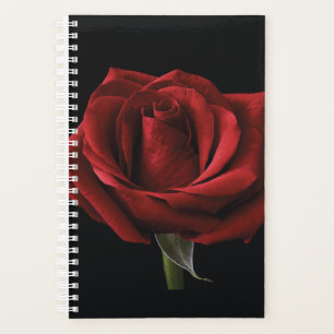 Red rose throw pillow planner