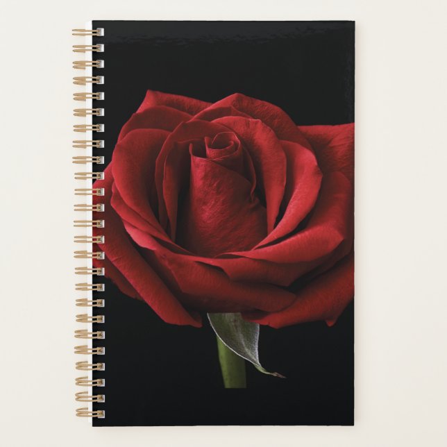 Red rose throw pillow planner (Front)