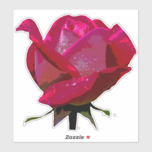 Red Rose Thunder_Cove