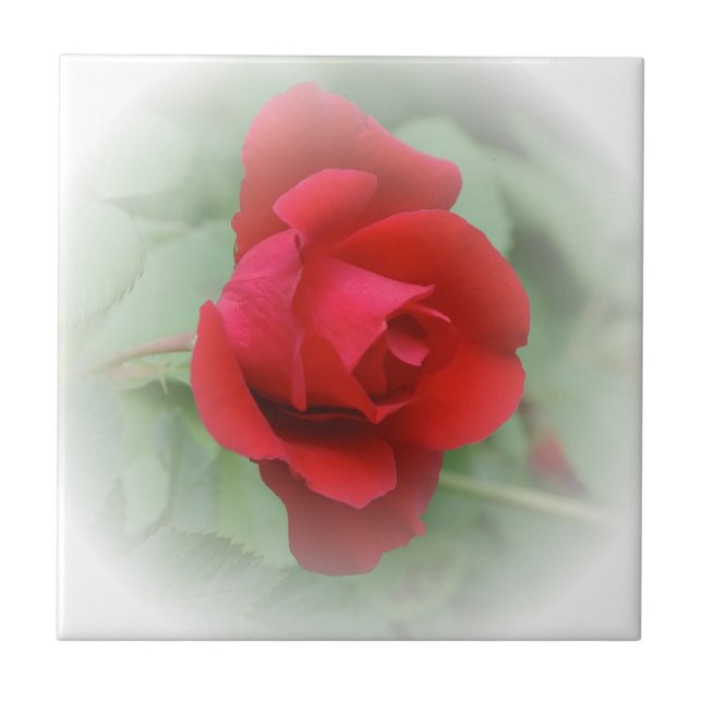 Red rose tile (Front)