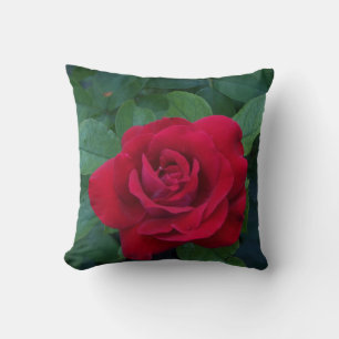 Red Rose Up Close Cushion