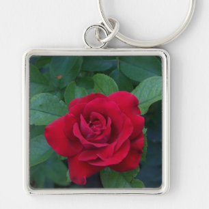 Red Rose Up Close Key Ring