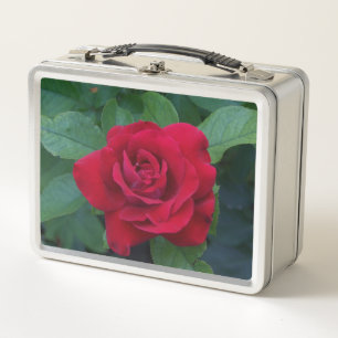 Red Rose Up Close Metal Lunch Box