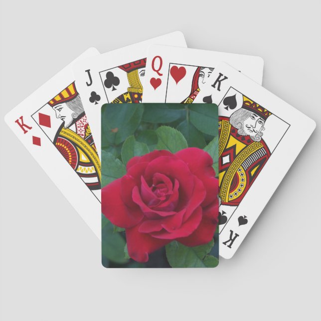 Red Rose Up Close Playing Cards (Back)