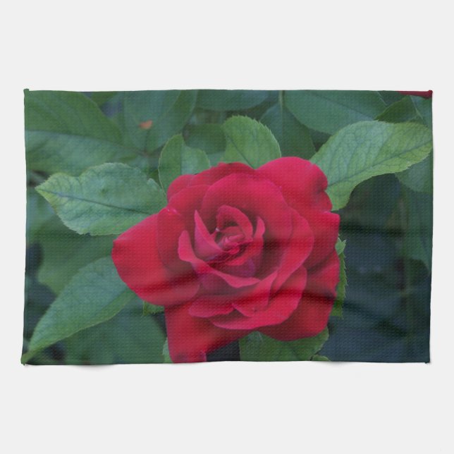 Red Rose Up Close Tea Towel (Horizontal)