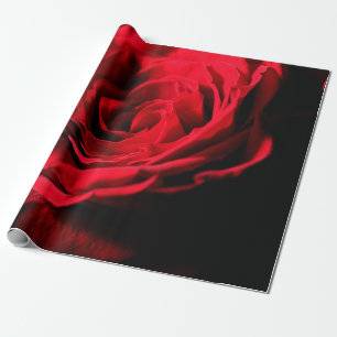Red rose valentine day closeup macro design, roman wrapping paper
