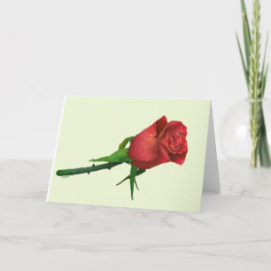 Red rose Valentine Holiday Card