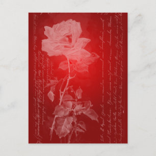 Red Rose Valentine Holiday Postcard