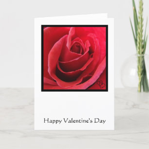 Red Rose Valentine's Day Card
