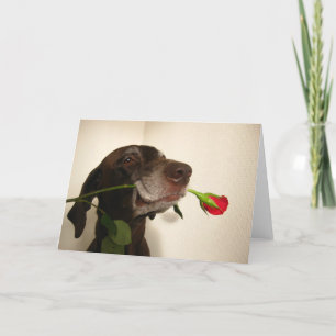 red rose valentine's pointer holiday card