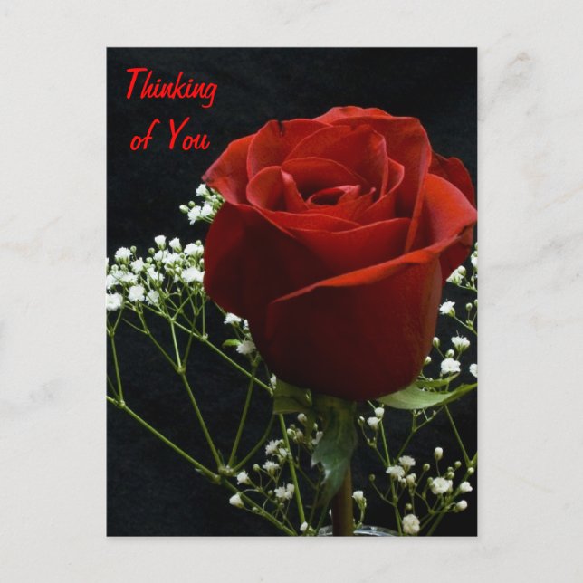 Red Rose Verticle Postcard (Front)