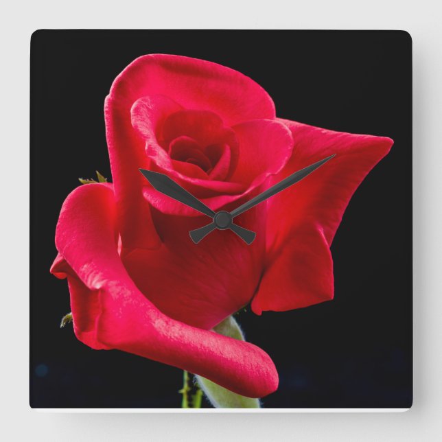 RED ROSE Wall Clock (Front)