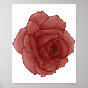 Red Rose Watercolor Facing Right Poster