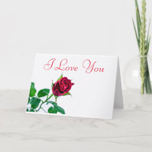 Red Rose White Background I love you Holiday Card
