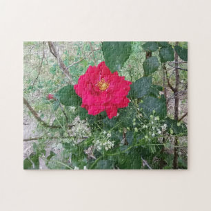 Red Rose White Flowers Jigsaw Puzzle