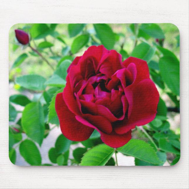Red Rose with Bud Mouse Pad (Front)