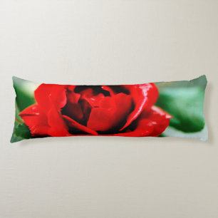 Red Rose with Dew Drops Body Cushion