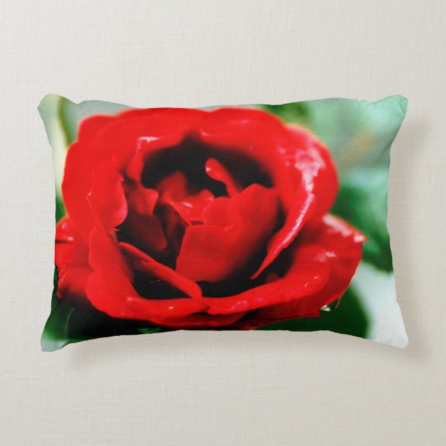 Red Rose with Dew Drops  Decorative Cushion (Front)