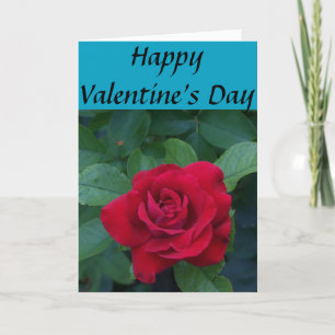 Red rose with green leaves holiday card