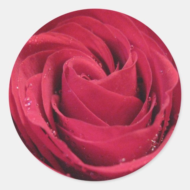 Red Rose with Water Droplets Classic Round Sticker (Front)