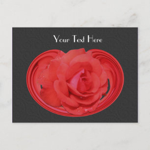 Red Rosebud Black Floral Customisable Postcard