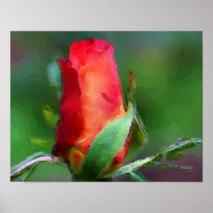 Red Rosebud Flower Watercolor Photo Painting Poster