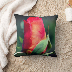 Red Rosebud Flower With Yellow Highlights Close Up Cushion