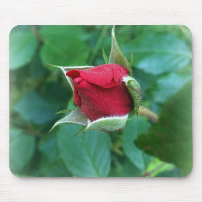 red rosebud mouse pad (Front)