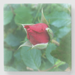red rosebud stone coaster